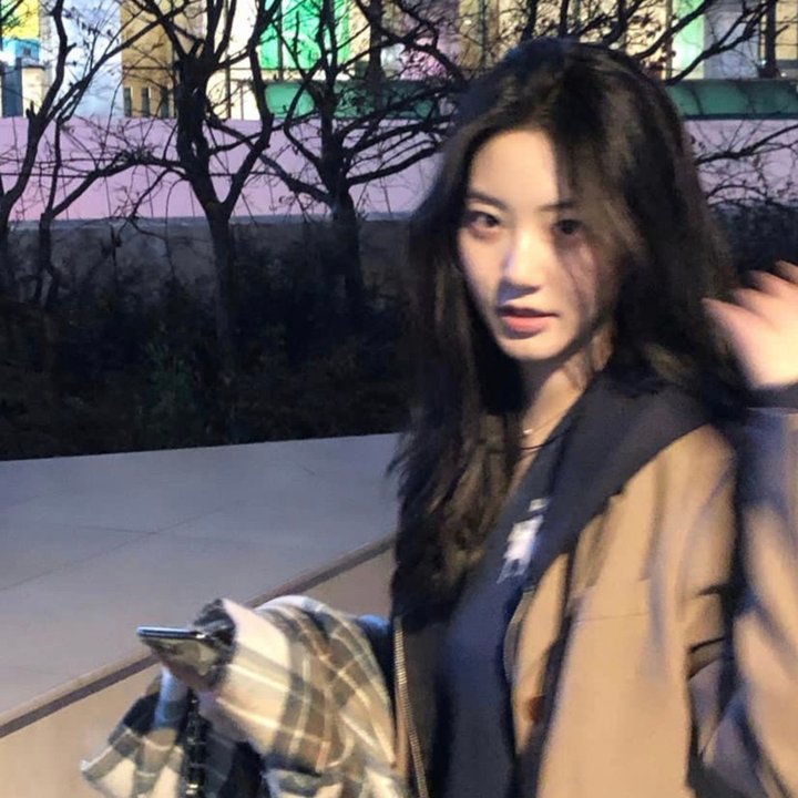 野兽与美女