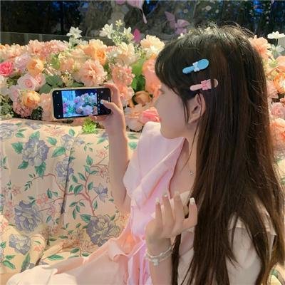 不死鸟之恋