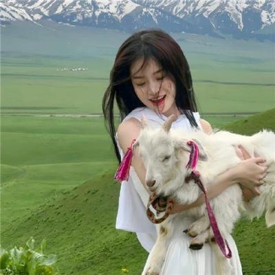 澳门奇妙游
